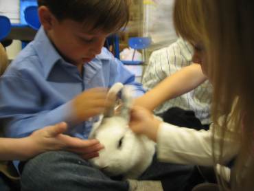 preschool_students_with_rabbit